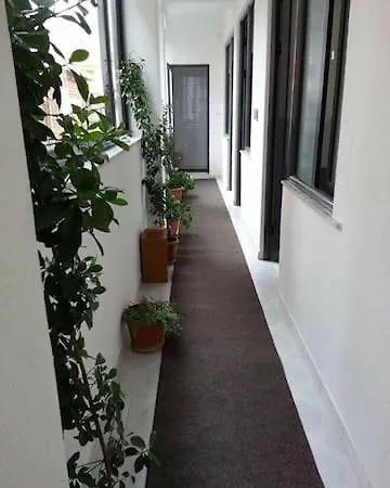 Aza Guest house